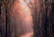 里程碑，达米安马丁内斯为阿根廷国家队出场50次.