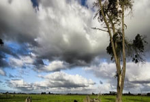 亨利：没想到没上场也能一起庆祝 沃特曼的庆祝是我见过最棒的.