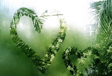 遮眼防守创始人，拼抢到血染赛场，穿红西裤只为参加姚明球衣退役！.