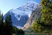 山东体育学院举办“用爱奔跑 点亮星梦”公益马拉松全国校园联跑活动.